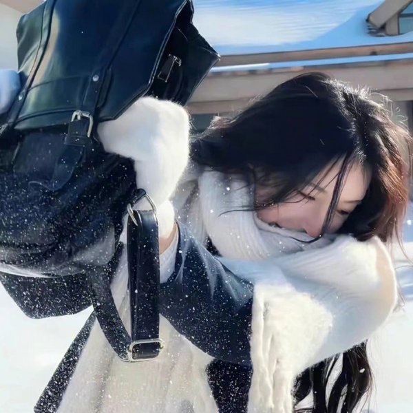 梅府有女初长成